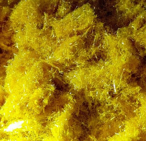 5 BR DMT