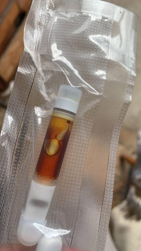 Buy DMT Reaveller.com 2G Cartridge